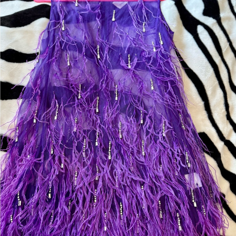 Feather Embellished Elegant Purple Sheer Dress with second piece under dress - Picture 2 of 15